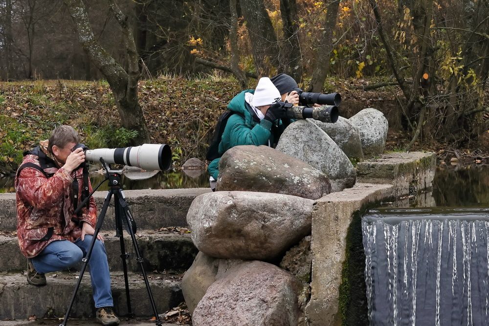 Photograph by Игорь Чеботарёв