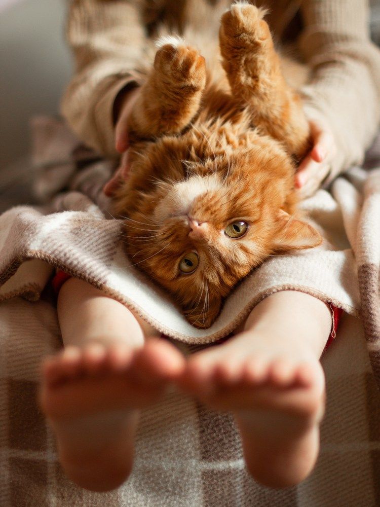 Photograph by Наталья