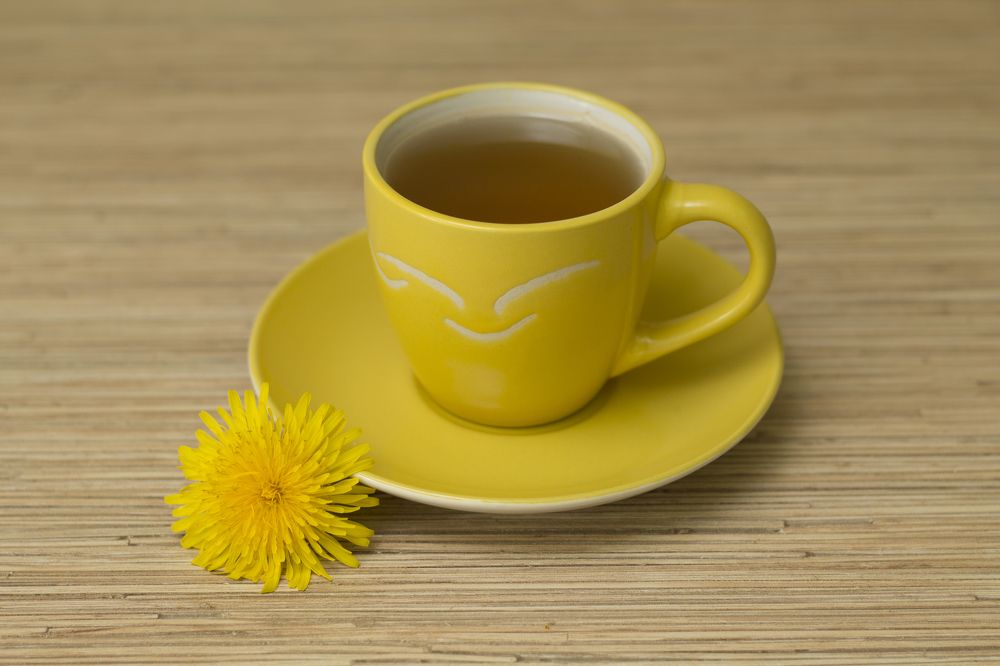 Фотография автора Дарья Рогозина