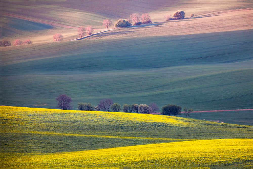 Photograph by Владимир Остапенко