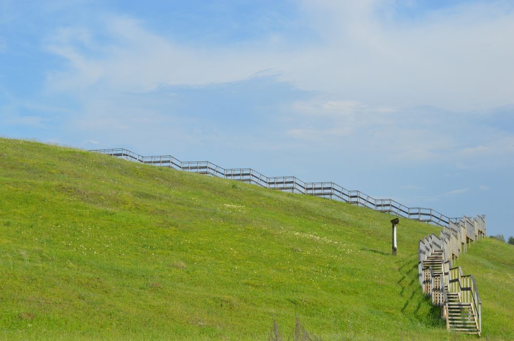 Photograph by Дарья Ростовцева