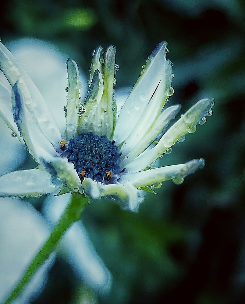 Photograph by Ольга Мартьянова