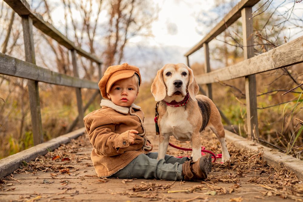 Фотография автора Анна Говорухина