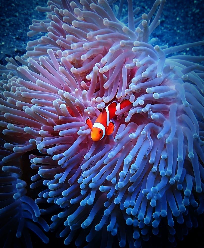 Photograph by Кирилл Леднев