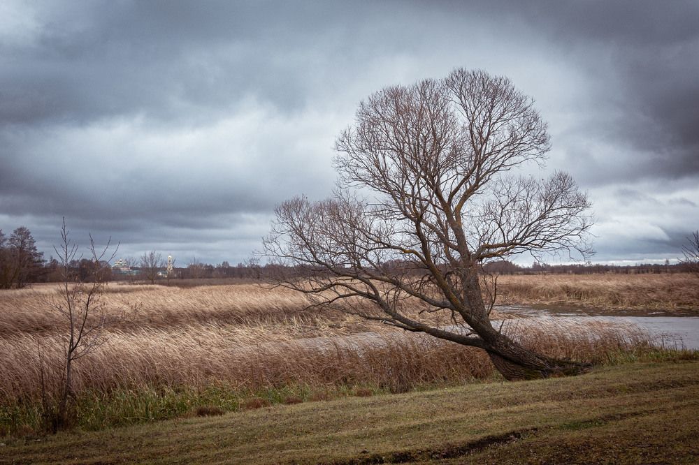 Фотография автора Елена Запертова
