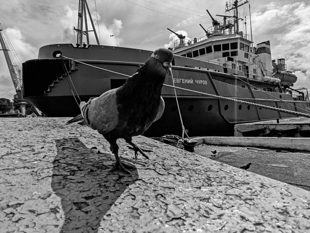 Photograph by Никита Львов