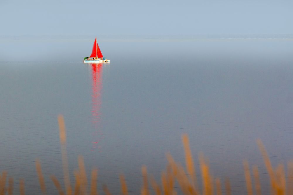 Photograph by виктор ковчин