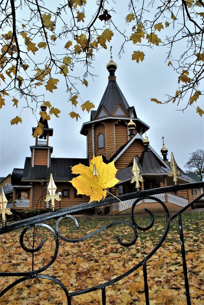 Photograph by тамара Tamara Chubuck