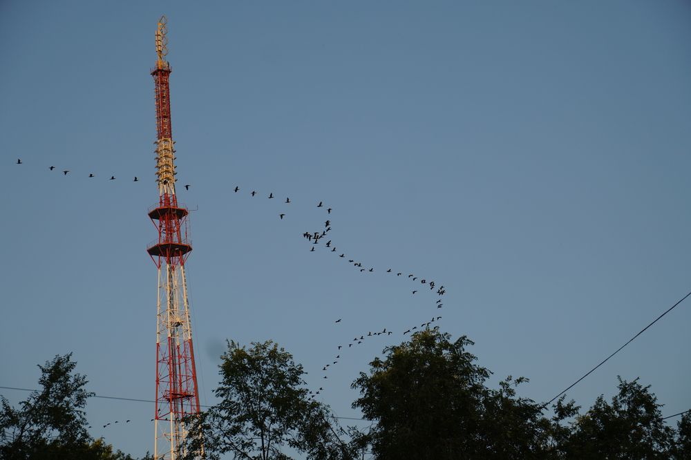 Photograph by Дарья Ринас