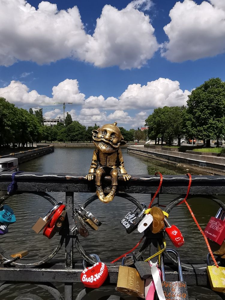 Фотография автора OLGA Dmitryachkova