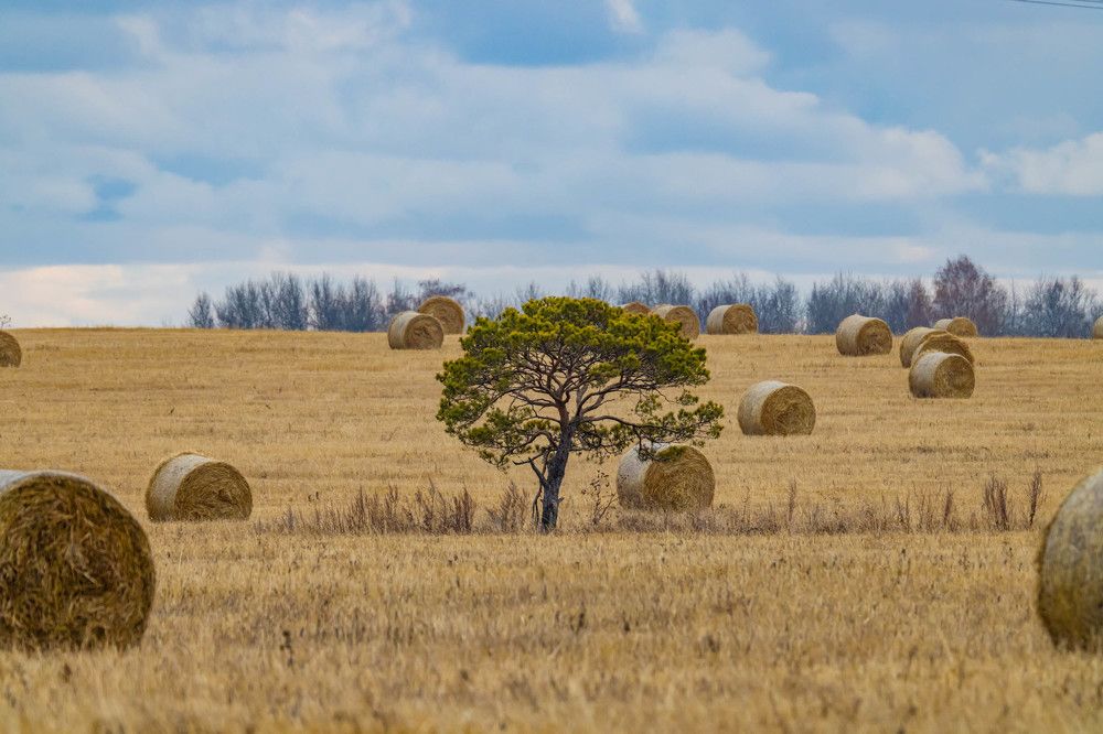 Photograph by Максим Фролов