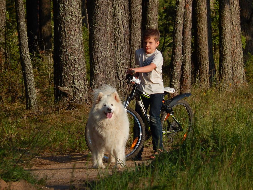 Photograph by Юрий Пучков