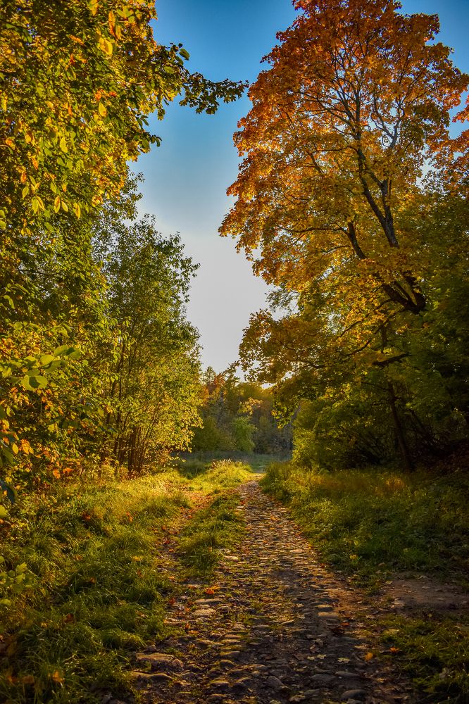 Photograph by Александра Климук