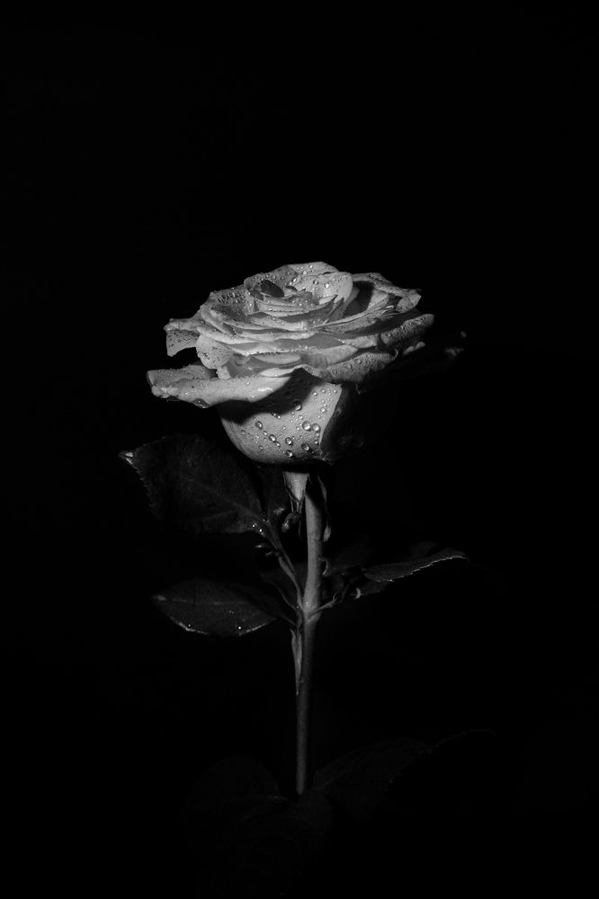 Photograph by Мария Пояскова