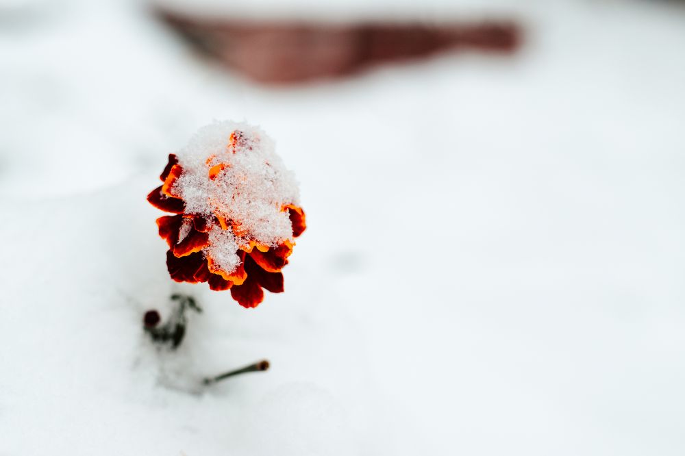 Фотография автора Дарина Фельдман