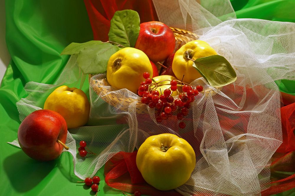 Photograph by Tatiana Glazkova