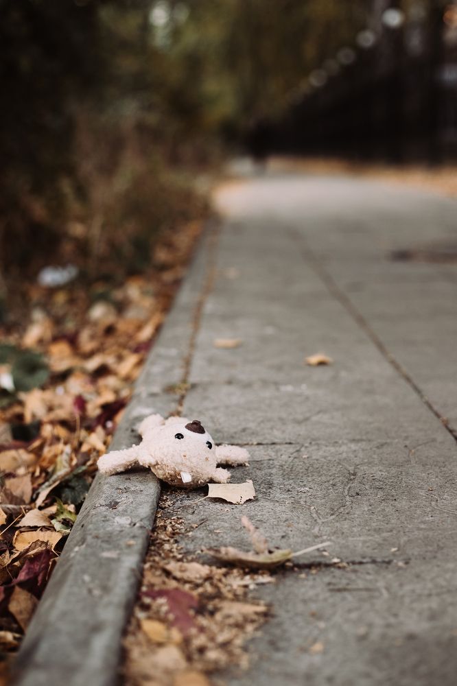 Фотография автора Дарина Фельдман