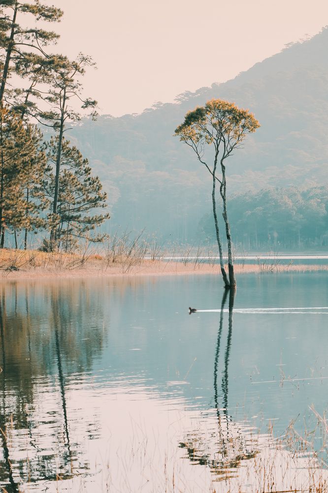 Photograph by Chau Nguyen