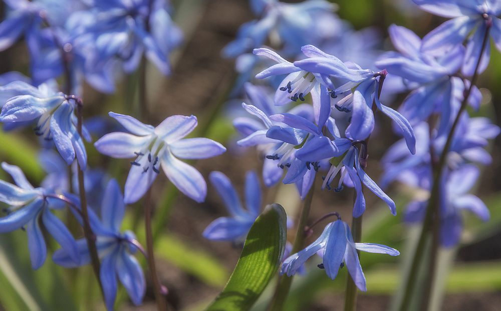 Photograph by Светлана Мельник