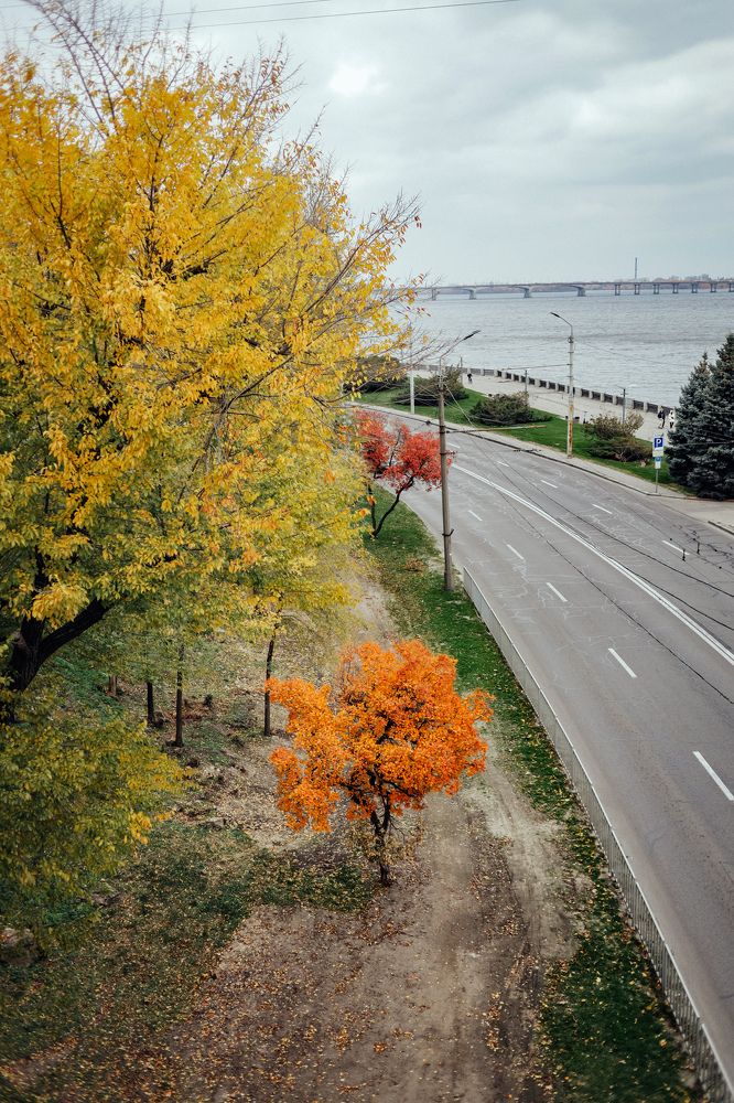 Photograph by Юлия Жукова