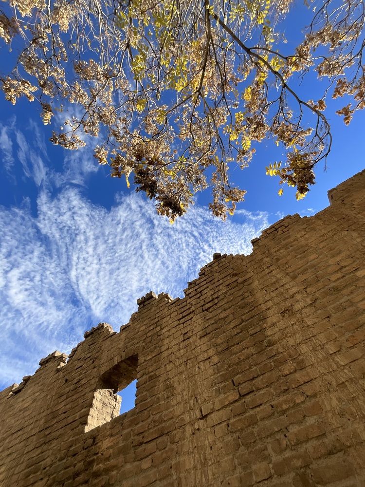 Photograph by Hamide Jafari