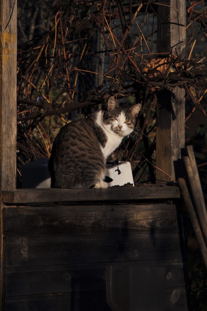 Photograph by Громова Мария