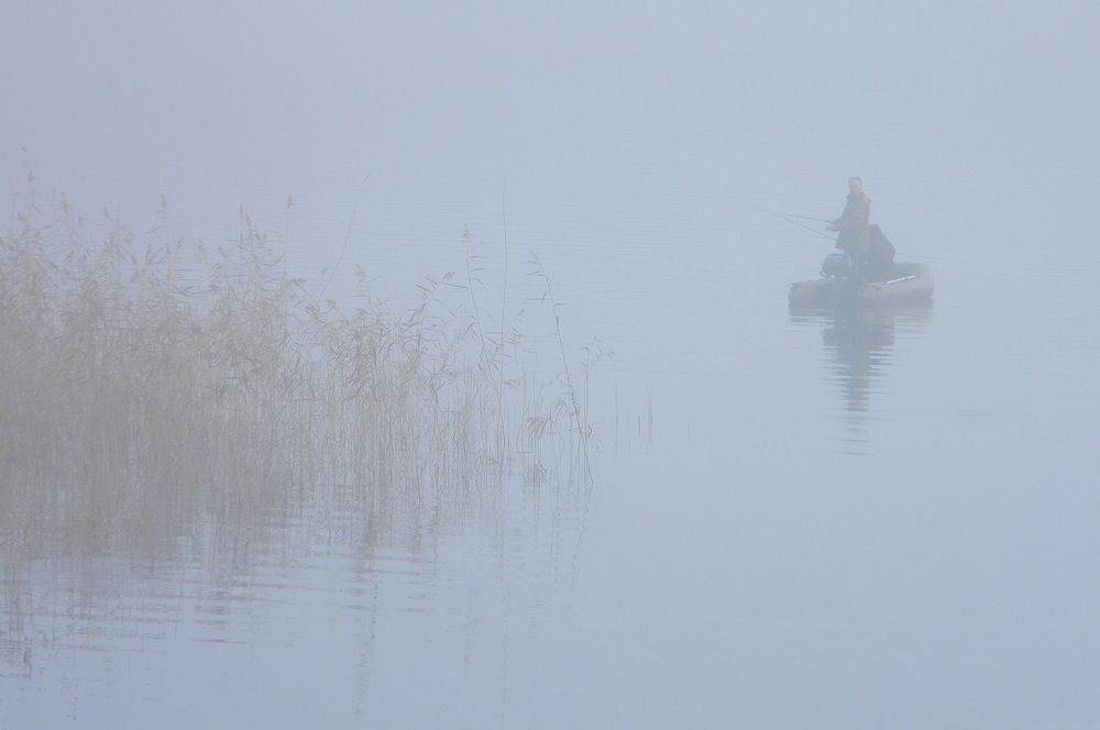 Туманное утро