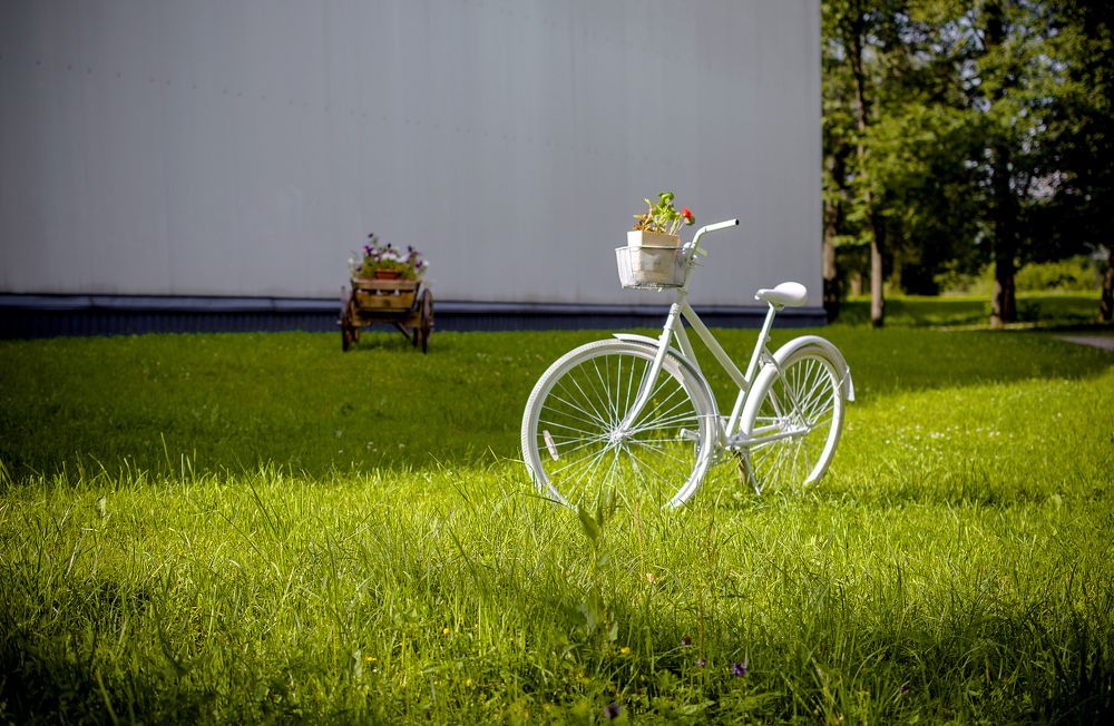 Photograph by Светлана Мельник