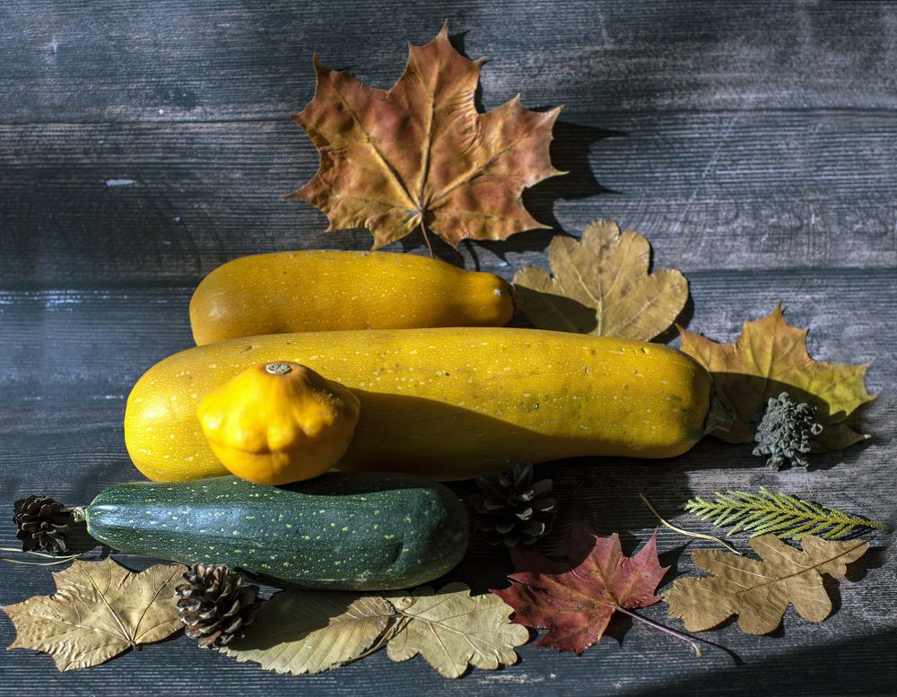 Photograph by Дария Ризниченко