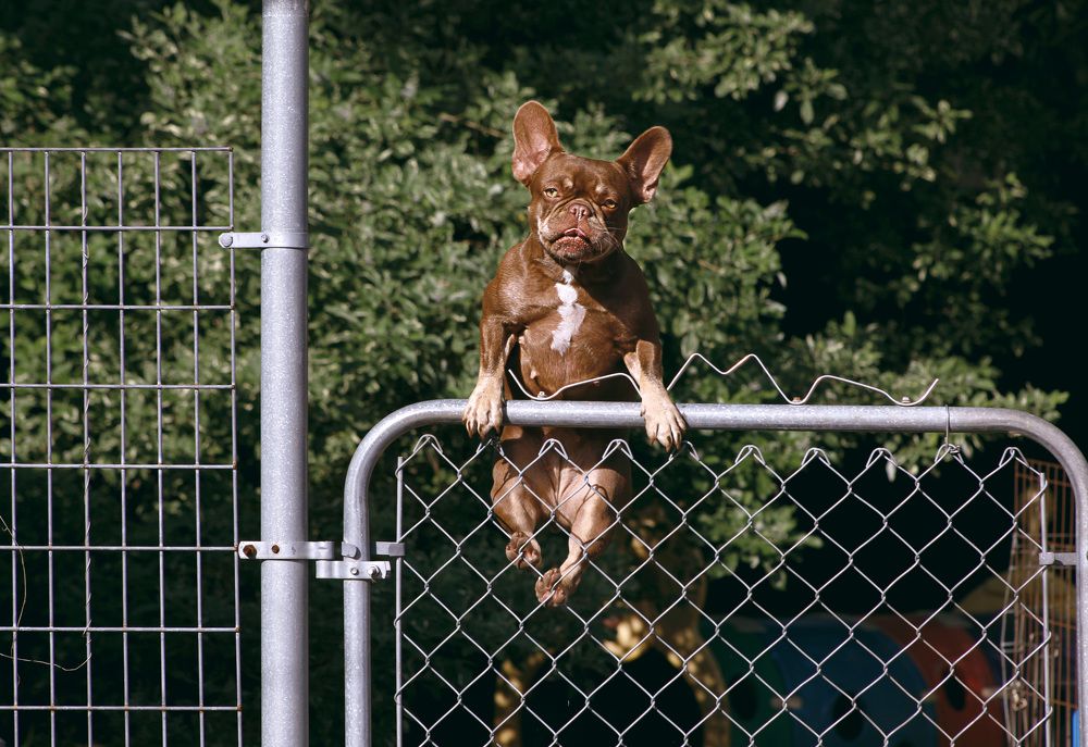 Фотография автора Tetiana Anpilova