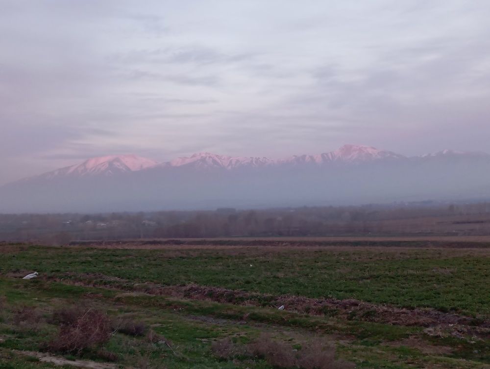 Photograph by Lobar Komiljonova