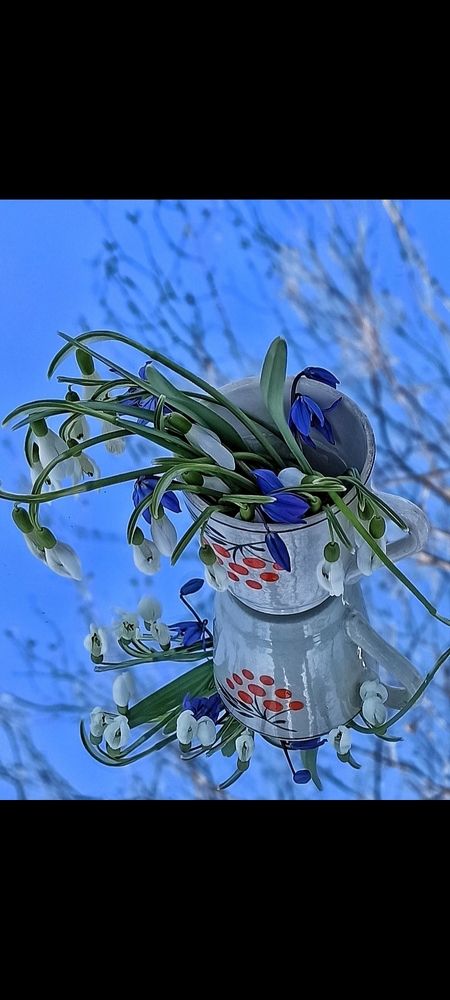 Photograph by Татьяна Исаева