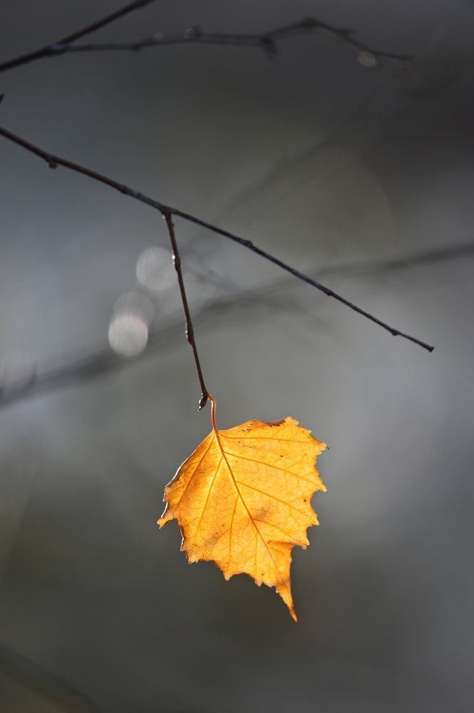 Photograph by Юрий Гау