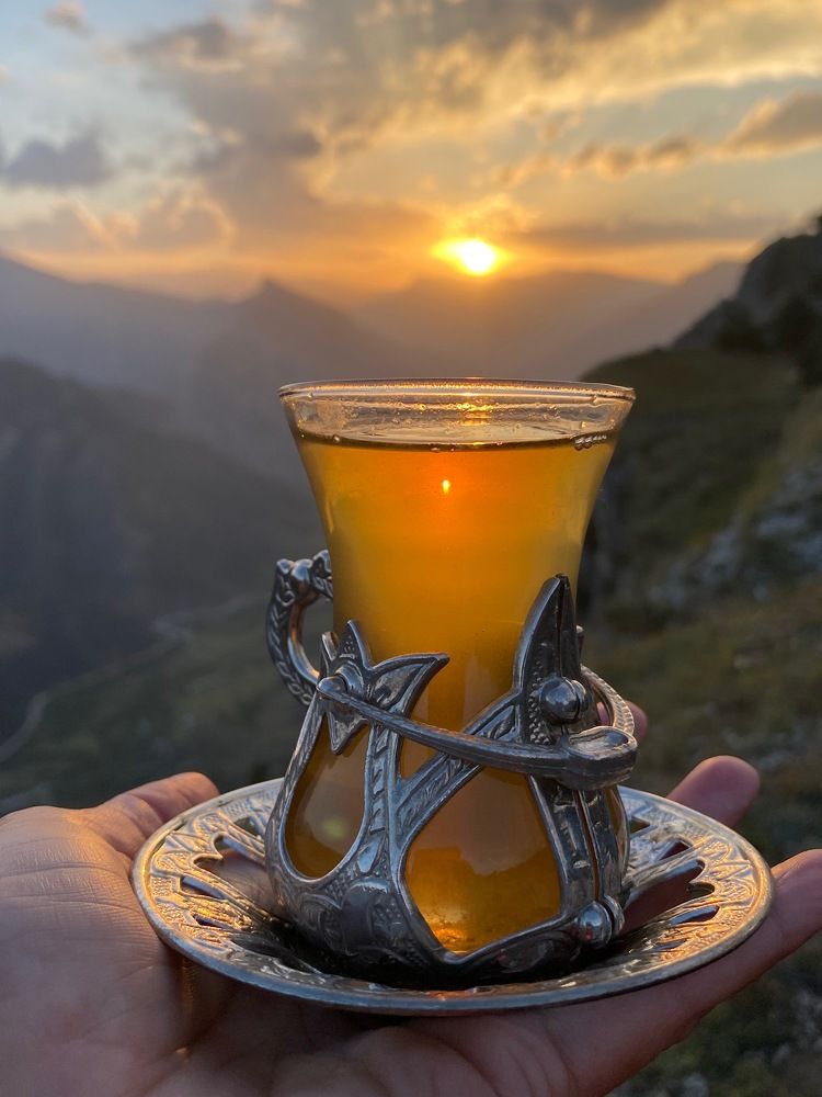 Фотография автора OLGA Dmitryachkova