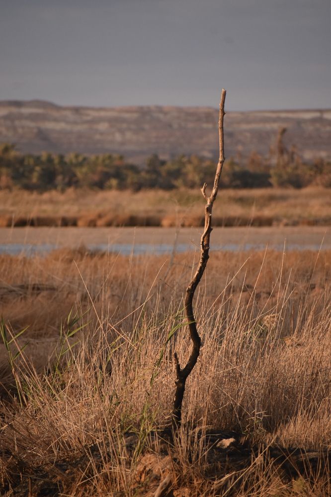 Фотография автора amina hassan