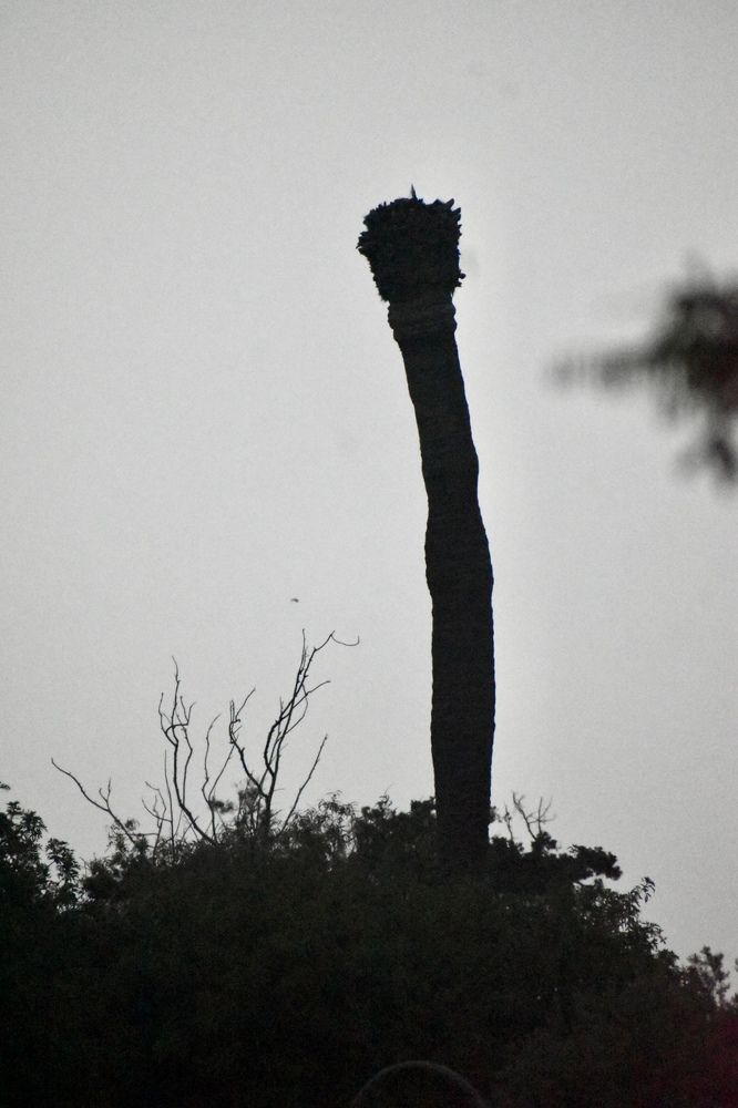 Фотография автора amina hassan