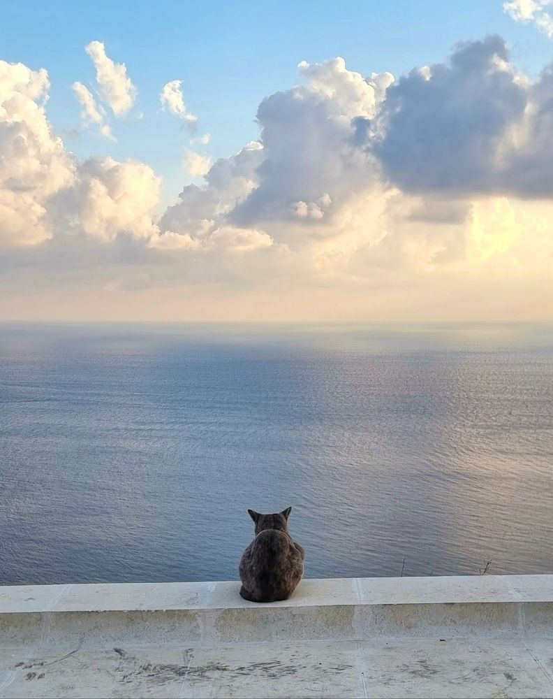 Photograph by Георгий Павлов