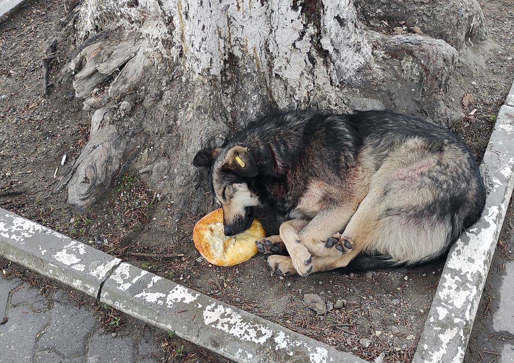 Photograph by Валерий Баранчиков