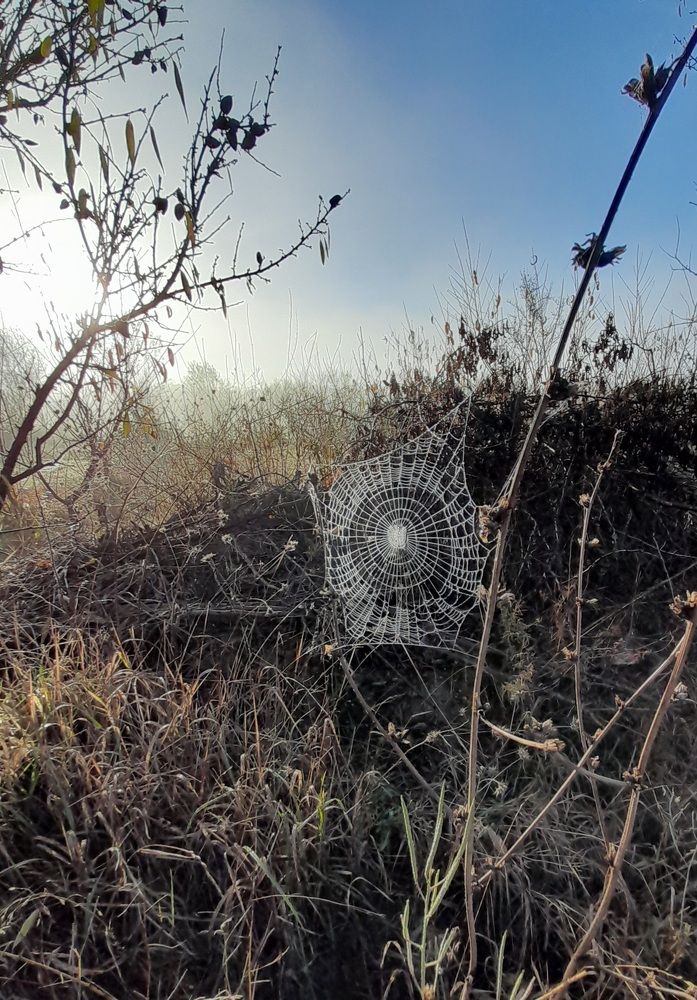 Утро туманное.