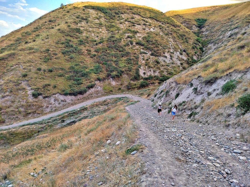 Фотография автора Вера,  Саша  Натан Фотогруппа ВЕСНА