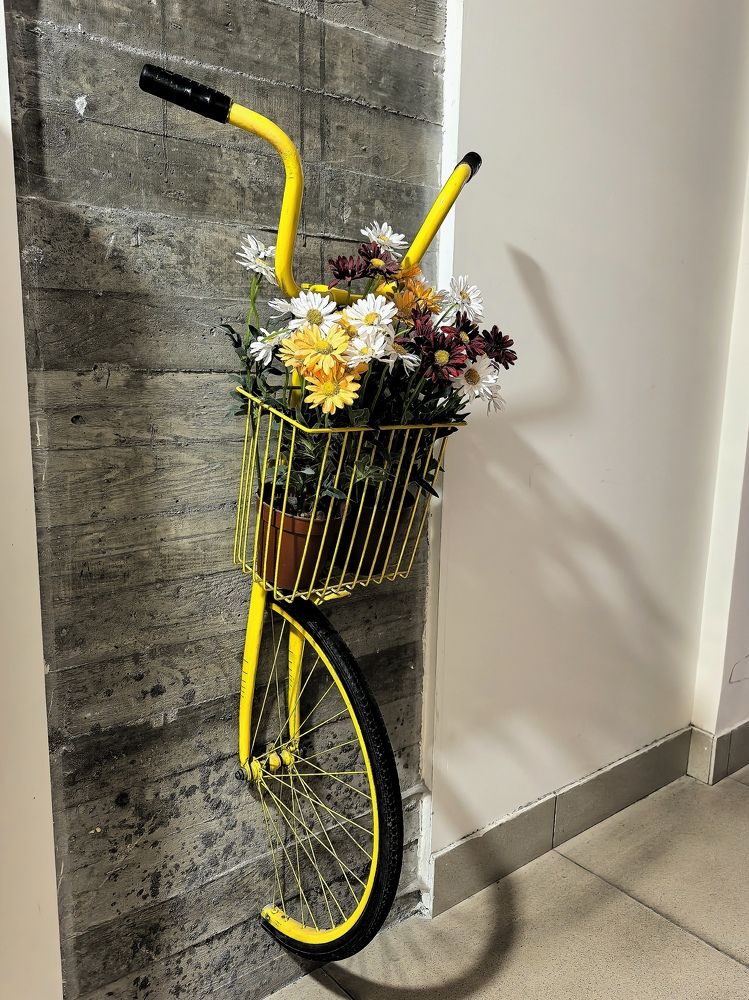 Фотография автора Александр Сипаров