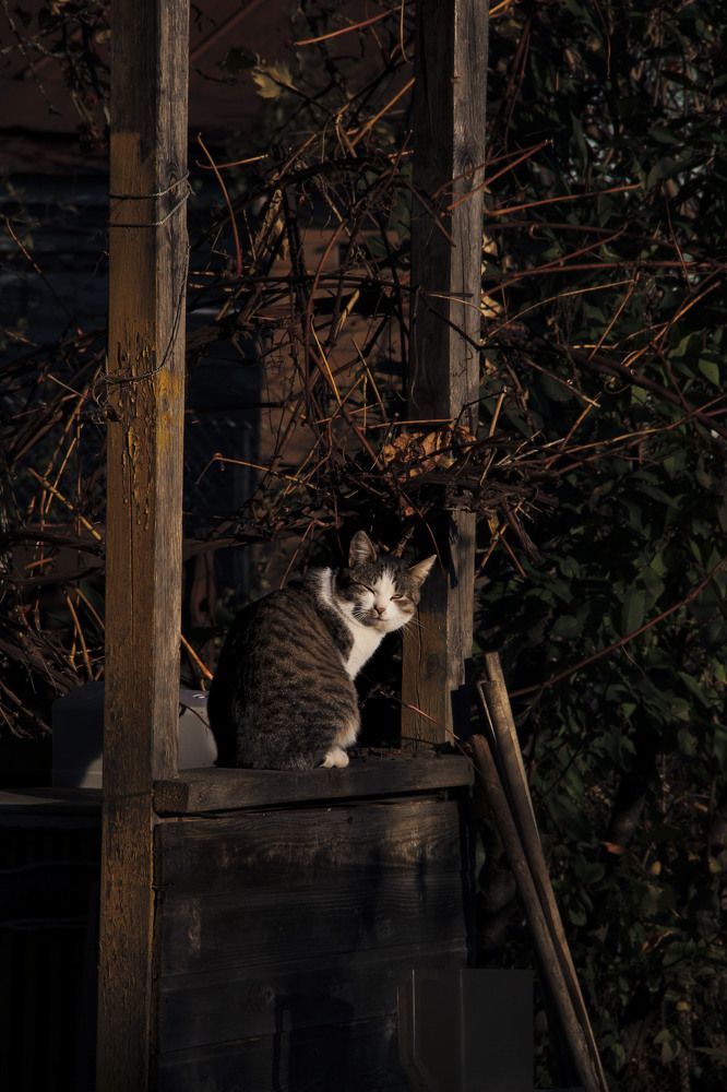 Photograph by Громова Мария