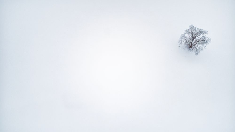 Photograph by Лемехов Иван
