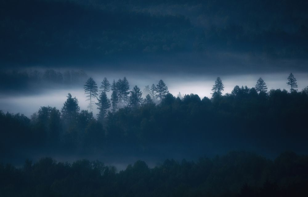 Photograph by Силантьев Даниил