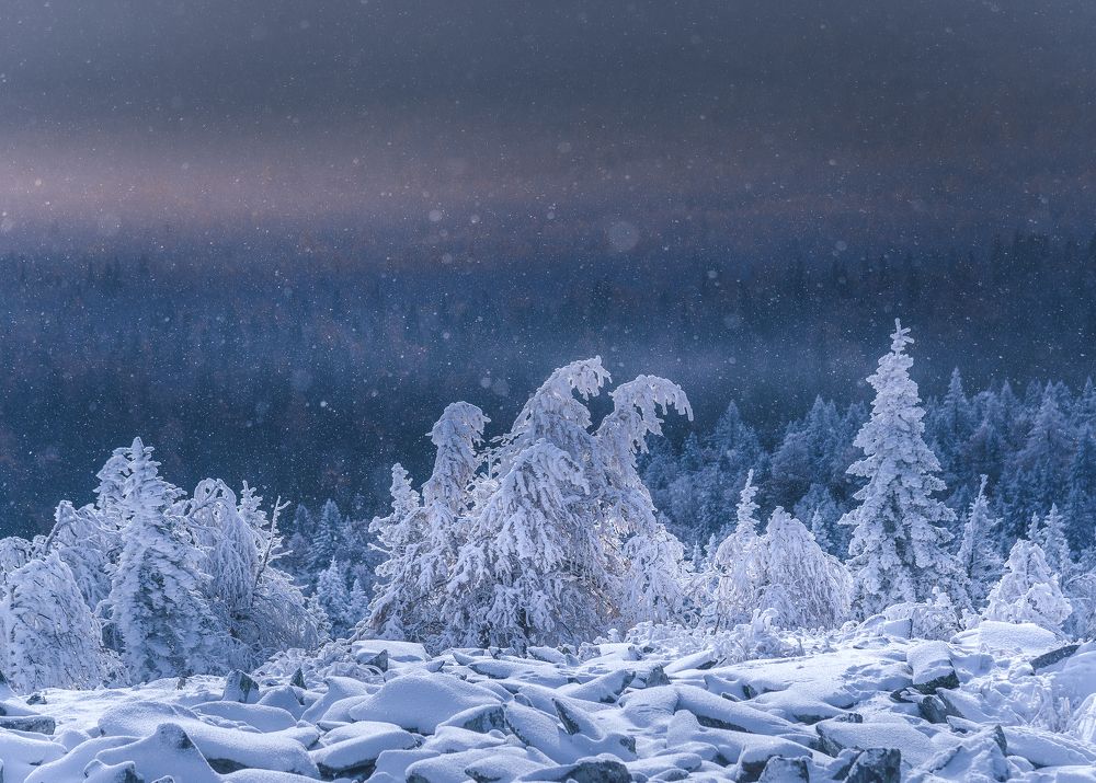 Photograph by Силантьев Даниил