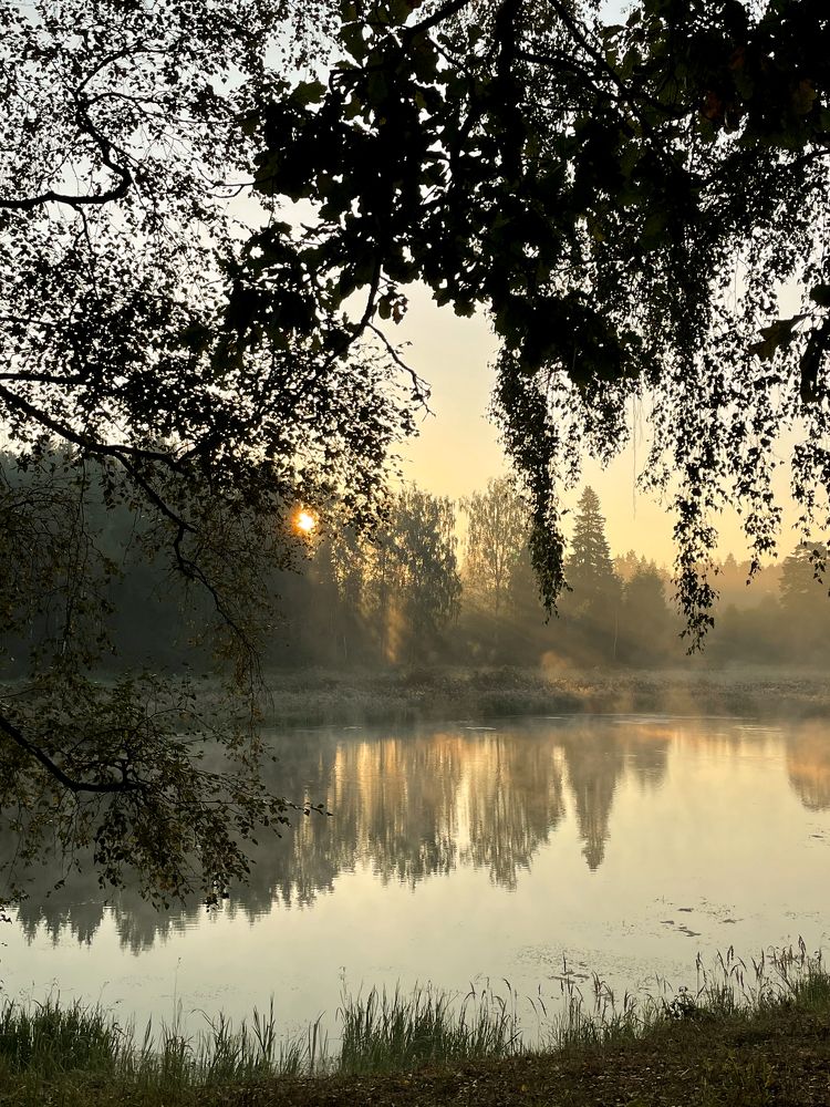 Фотография автора Наталья Попова
