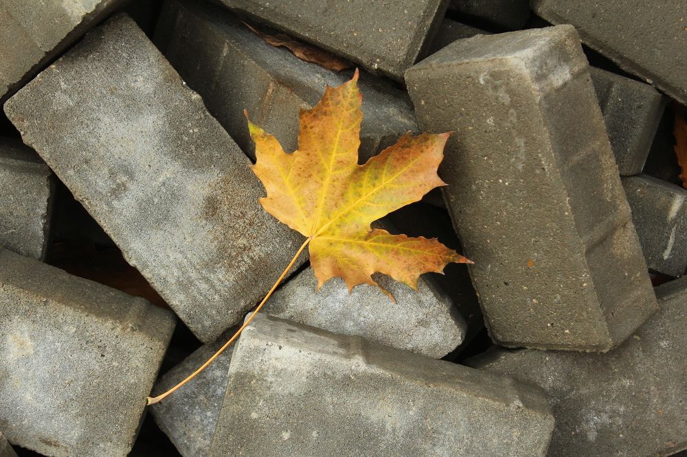 Photograph by Наталья Волкова