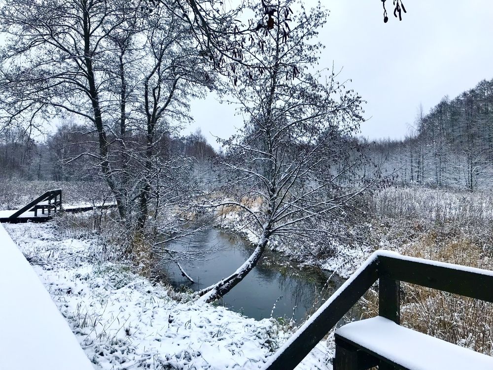 Photograph by Надежда Ткаченко