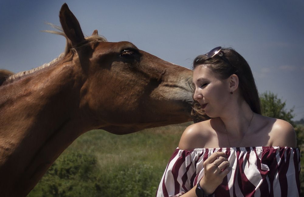 Photograph by Татьяна Шахматова