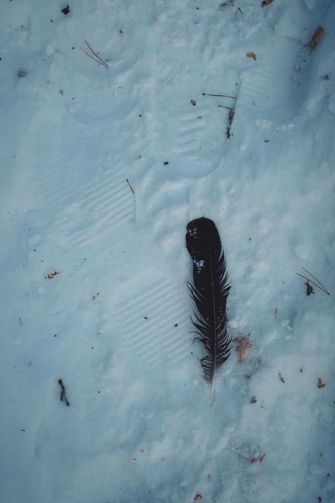 Photograph by Иван Кривоносов